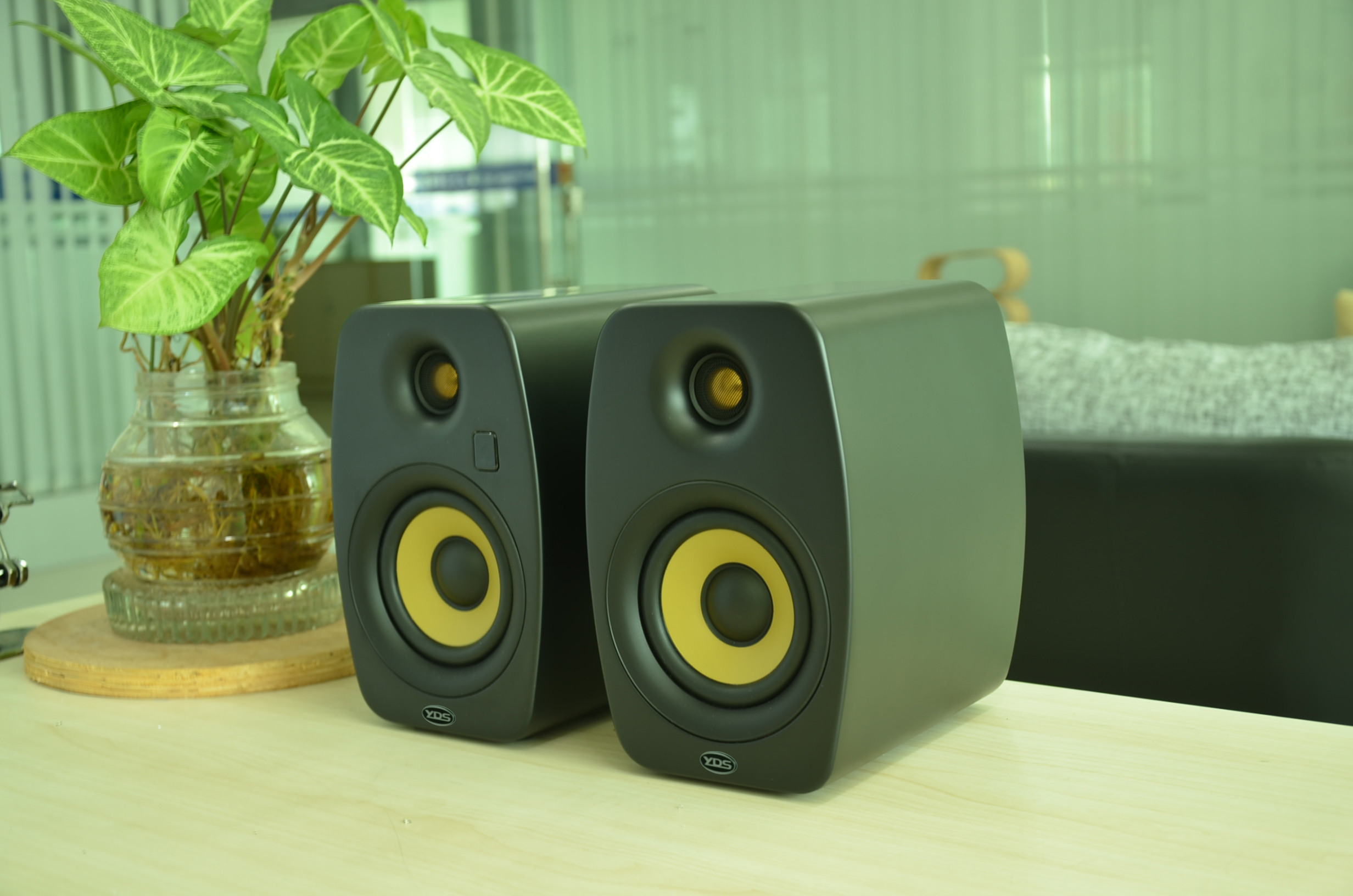 Pembesar Suara HIFI Pembesar Suara 5.25 Inci 2 Hala
