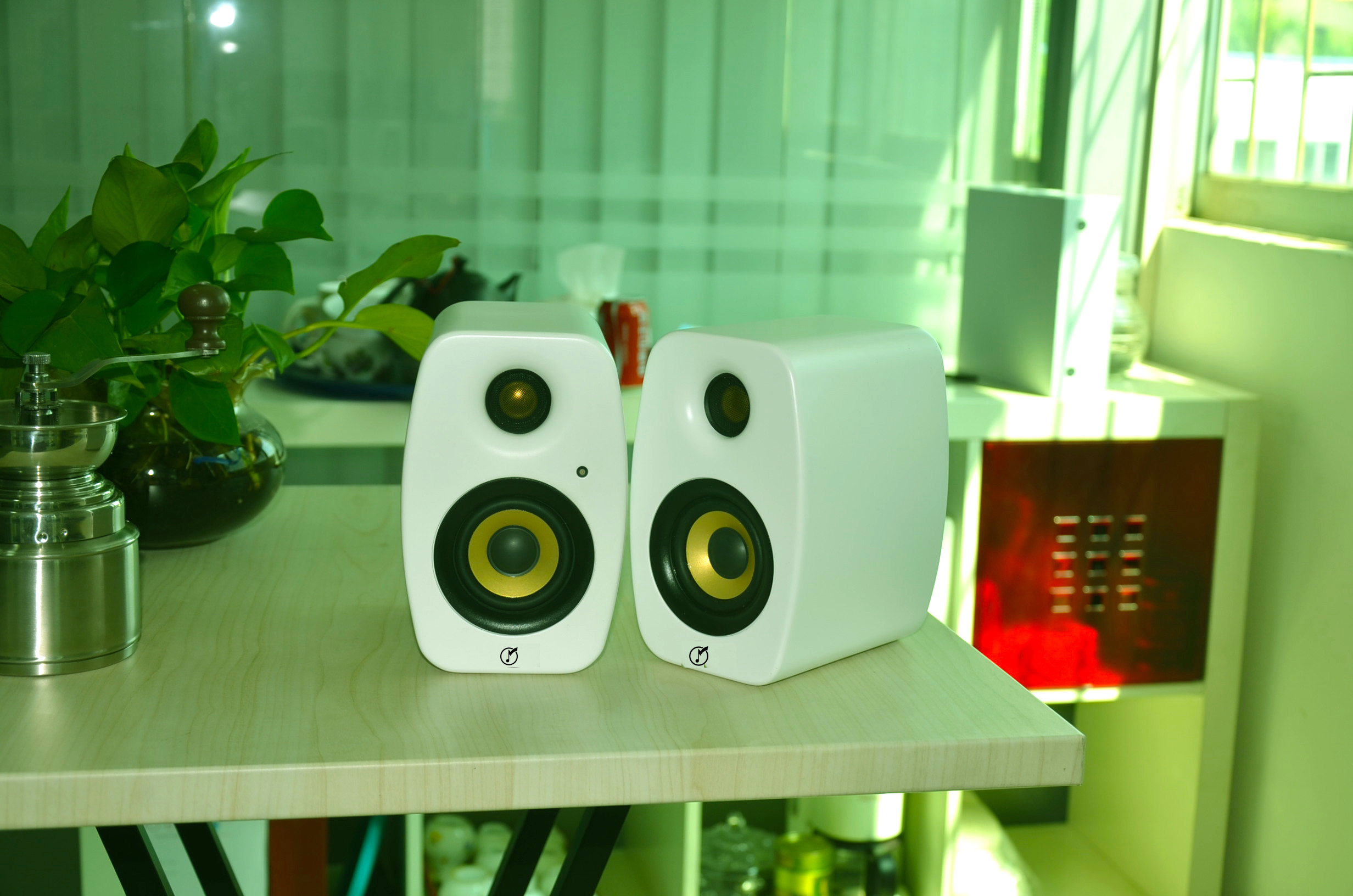 Pembesar Suara HIFI Pembesar Suara 5.25 Inci 2 Hala